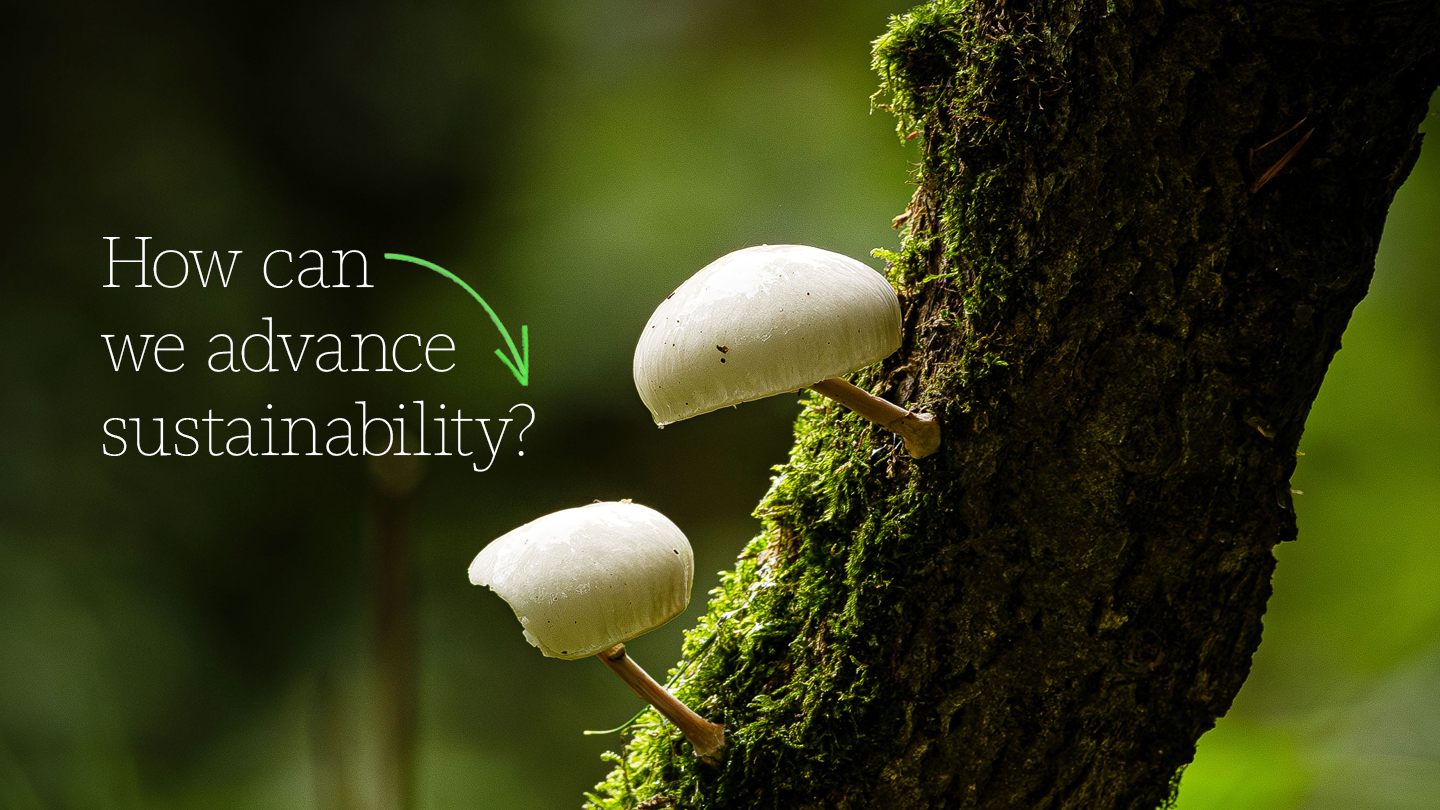 1 RY24 Microsoft Env Sus Website Assets 1440X810