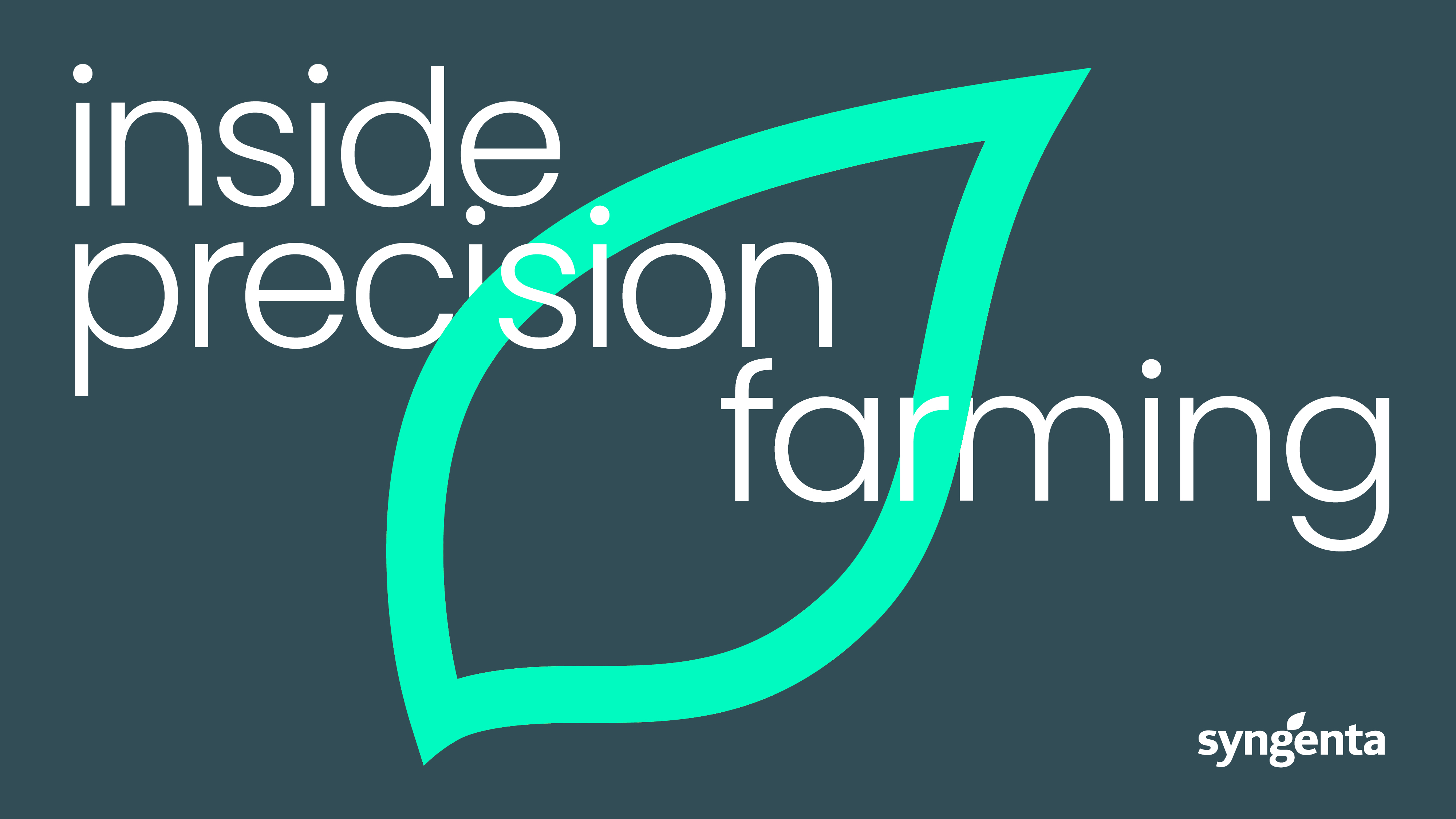 DN Syngenta Visual Identity New Content Structure 222