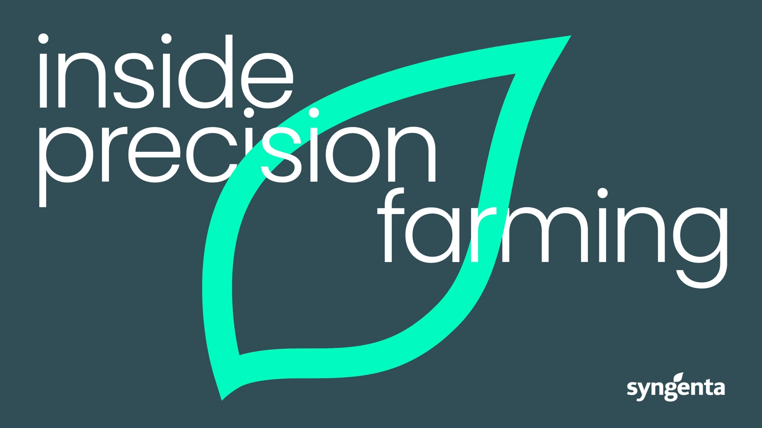 DN Syngenta Visual Identity New Content Structure 222