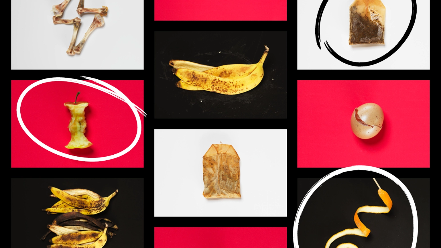 WRAP Wales Static 705X3972