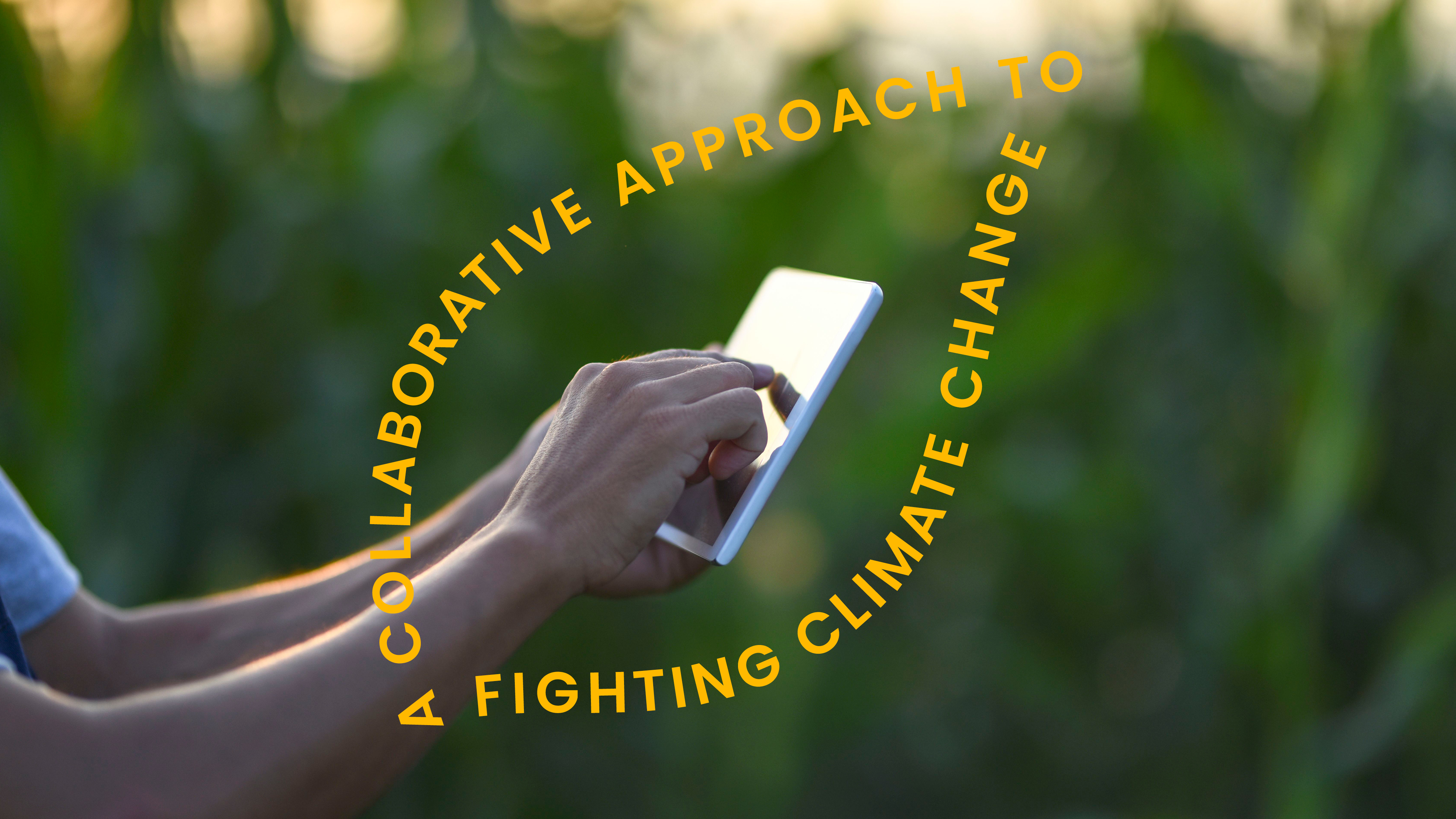 DN Syngenta Visual Identity New Content Structure 215