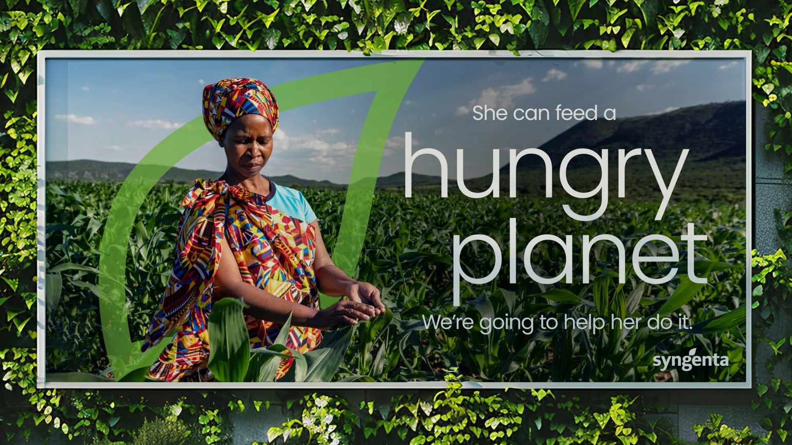 DN Syngenta Visual Identity New Content Structure 233